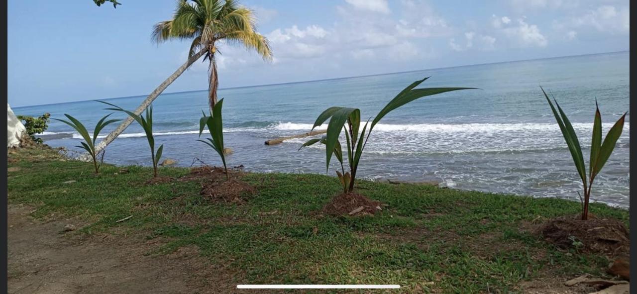 Casa Peace Haven Beach House Aguada Eksteriør billede